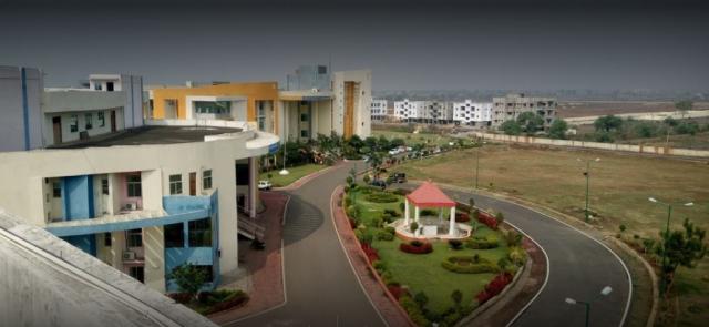 college background