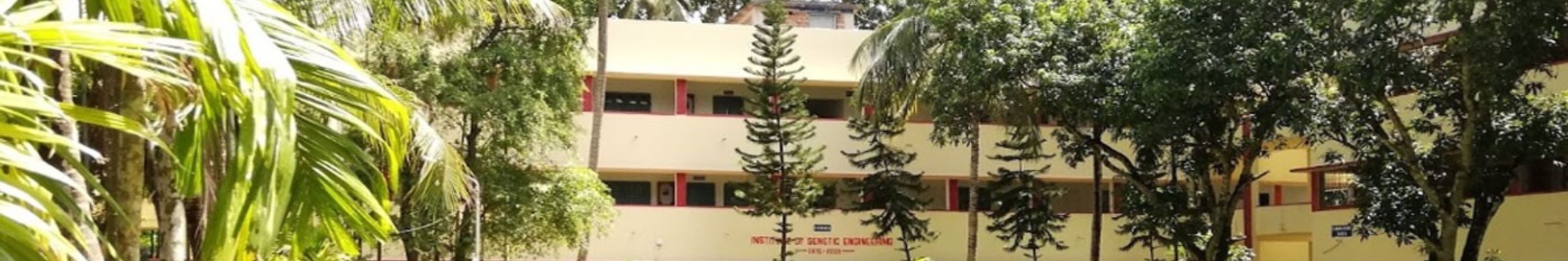 college background