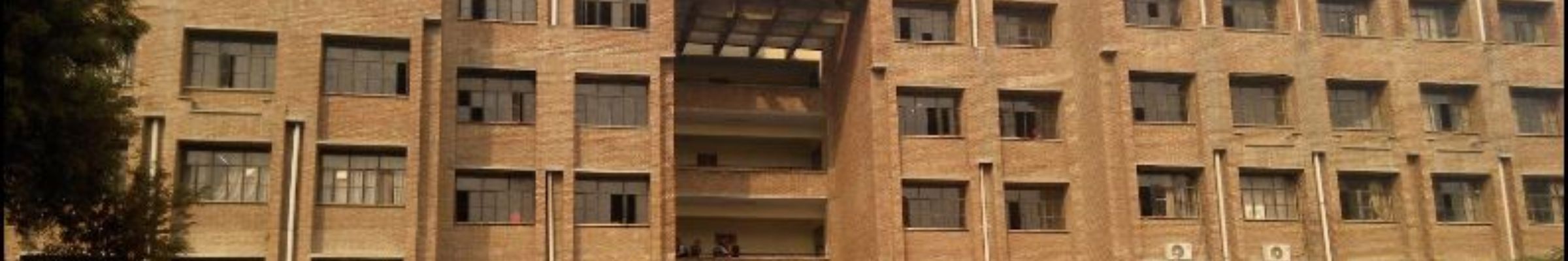 college background