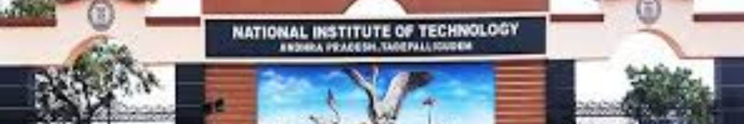 college background