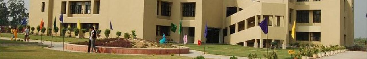 college background