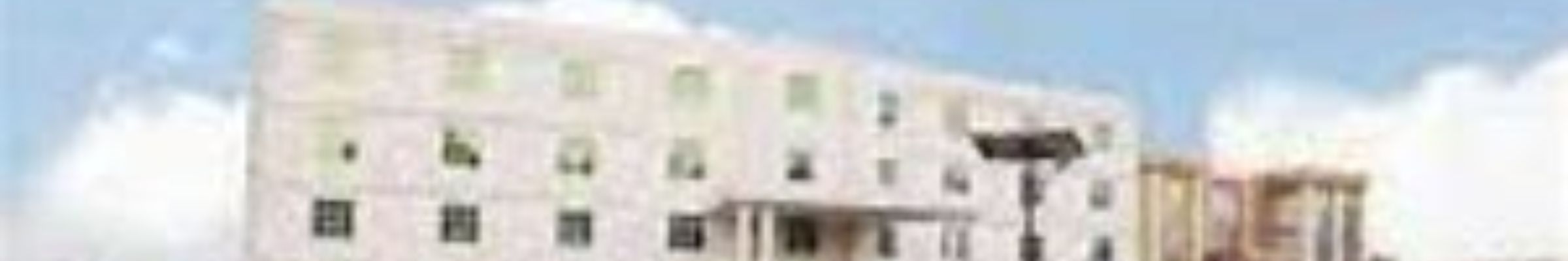 college background