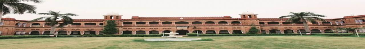college background