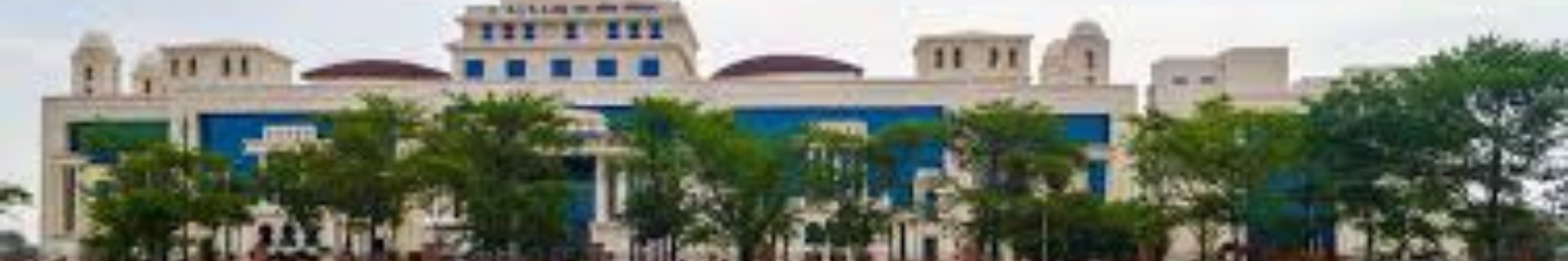 college background