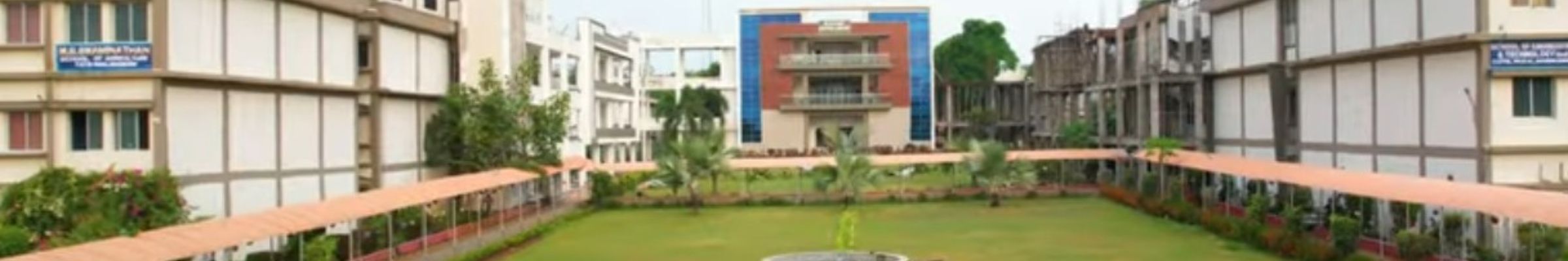 college background