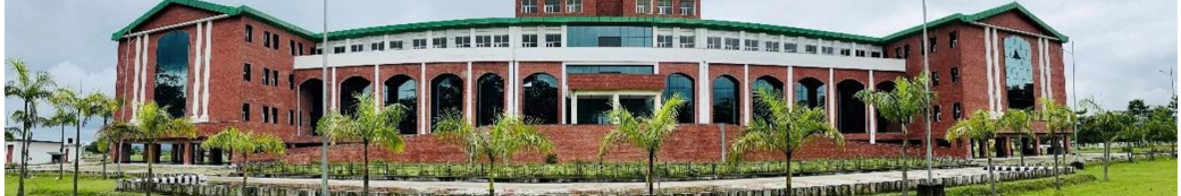 college background