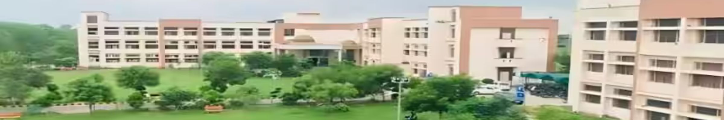 college background