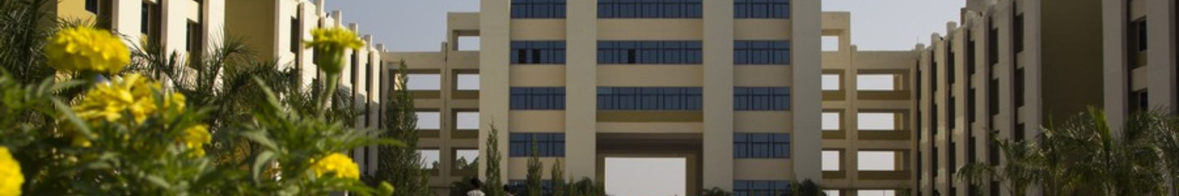 college background