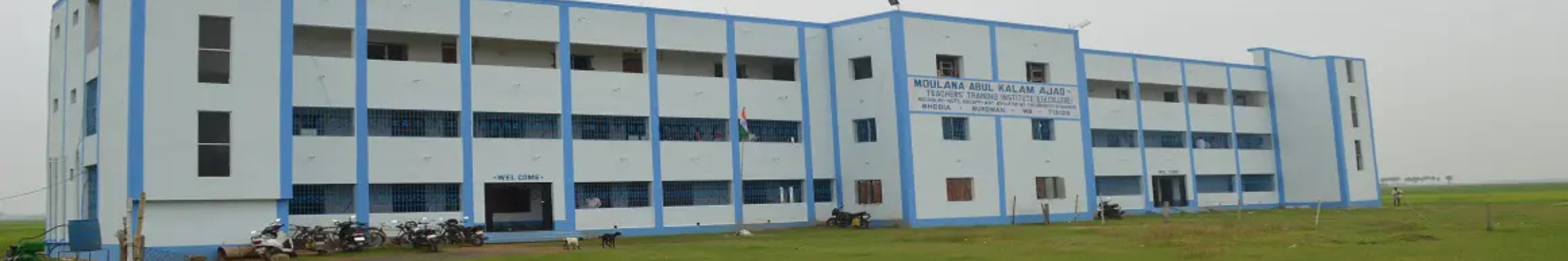 college background
