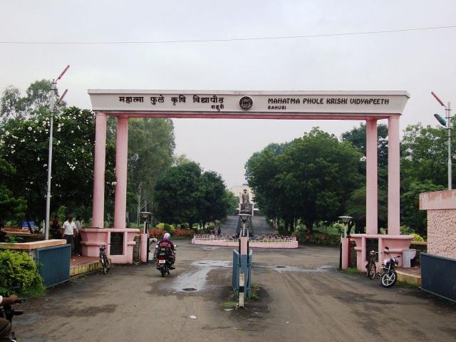 college background
