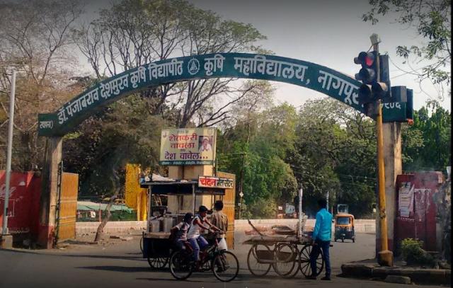college background