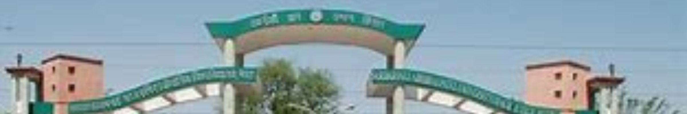 college background