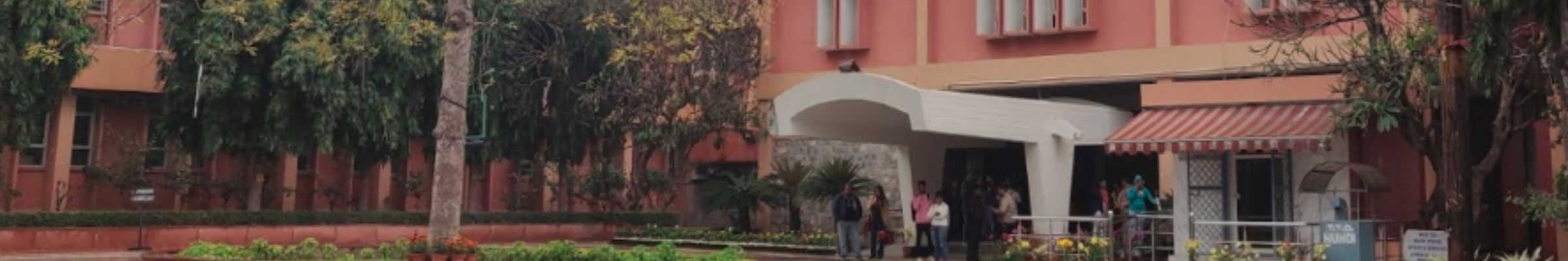 college background