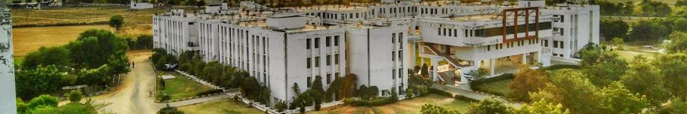 college background