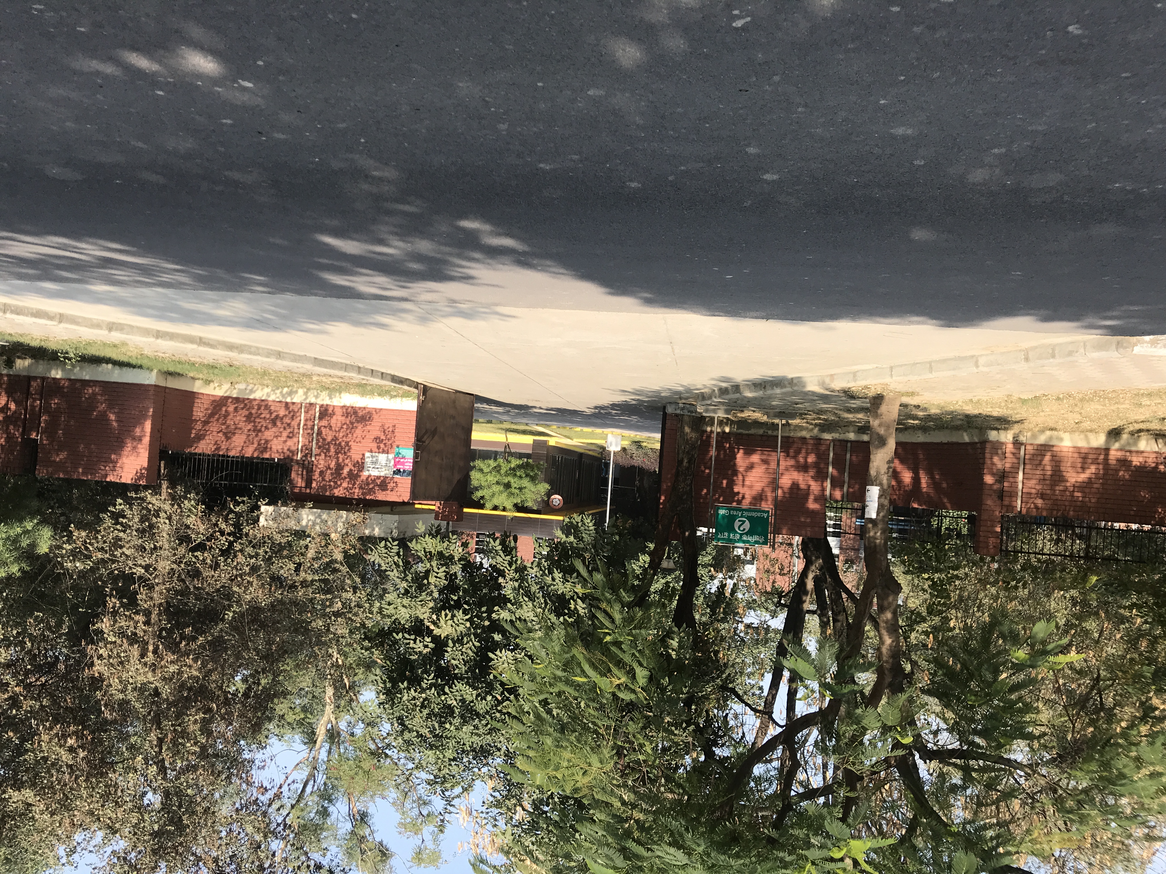 IIT Kanpur (IITK) - campus