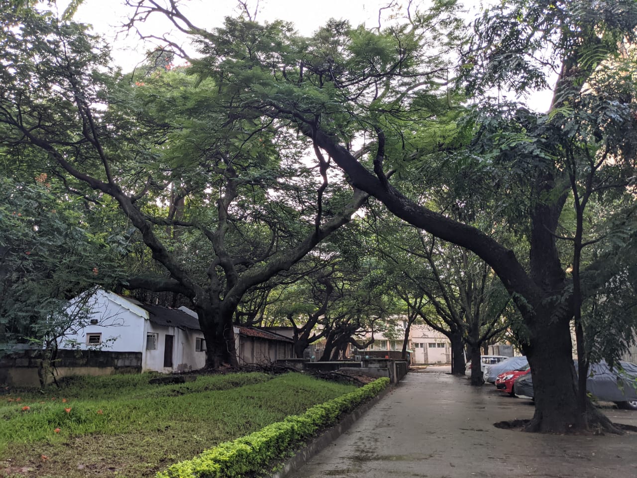 IIT Kharagpur (IIT-KGP) - others