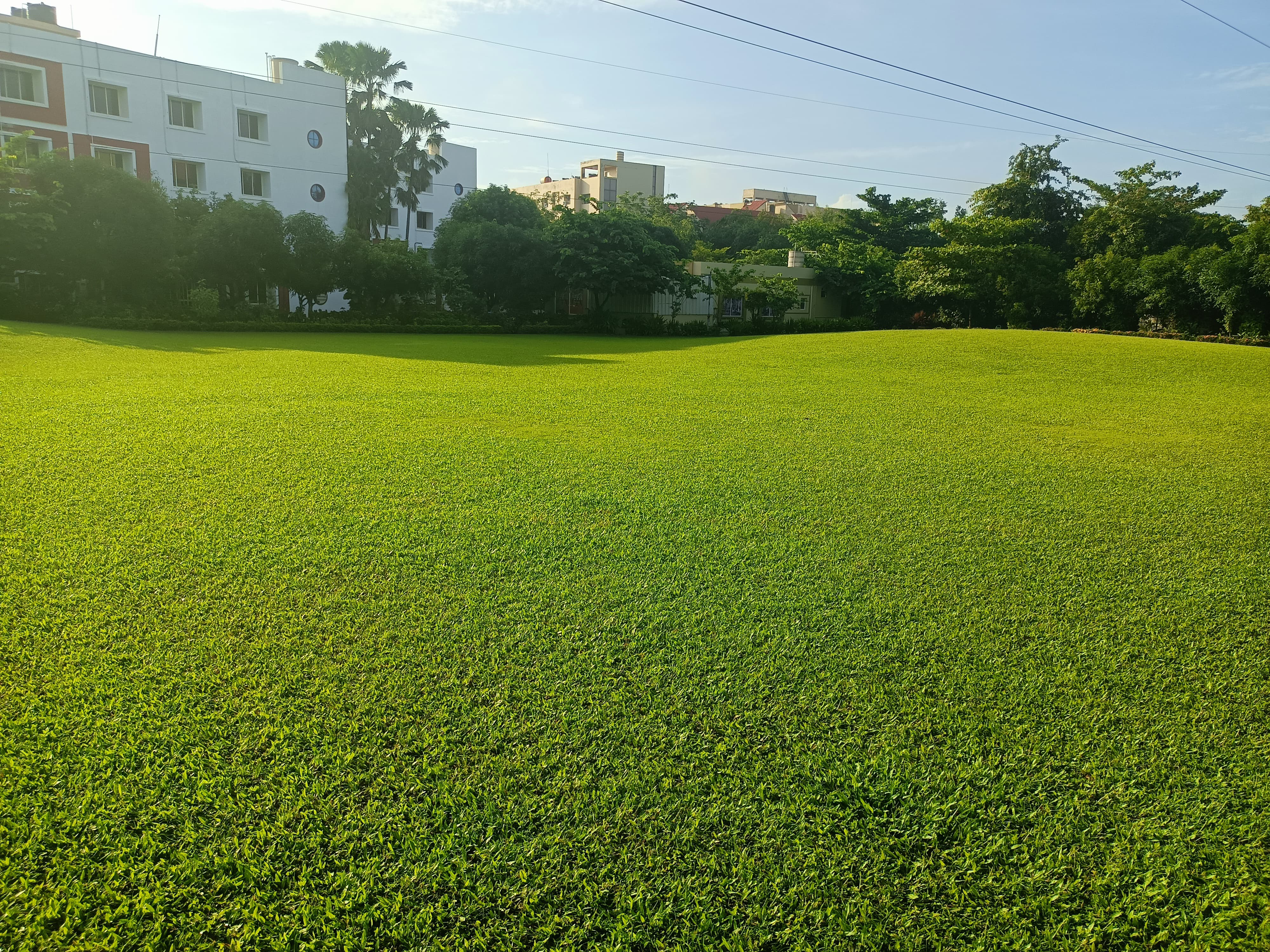 KIIT School of Management - campus