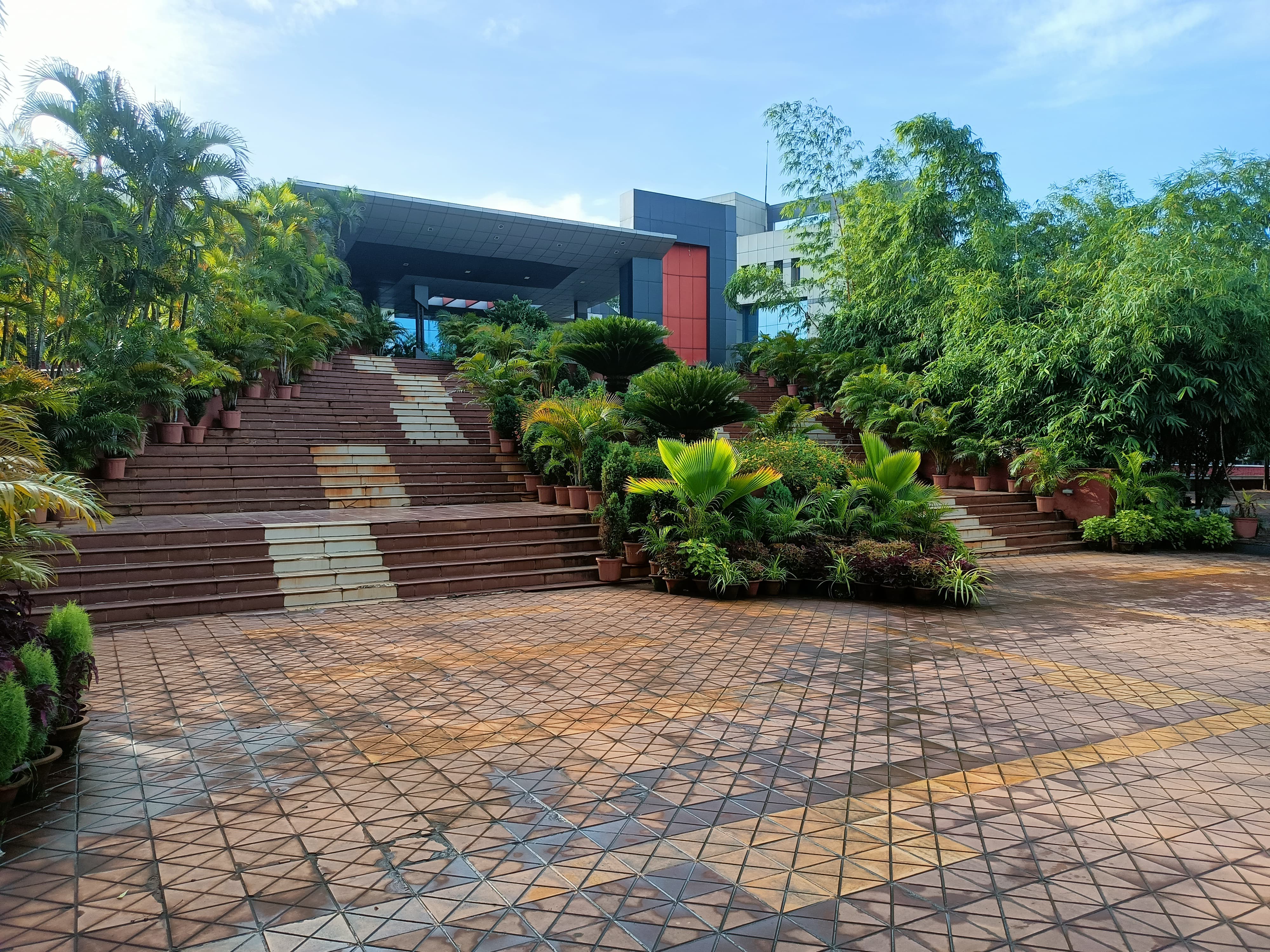 KIIT School of Management - night