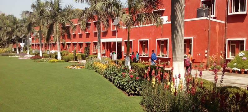 Lady Shri Ram College - campus