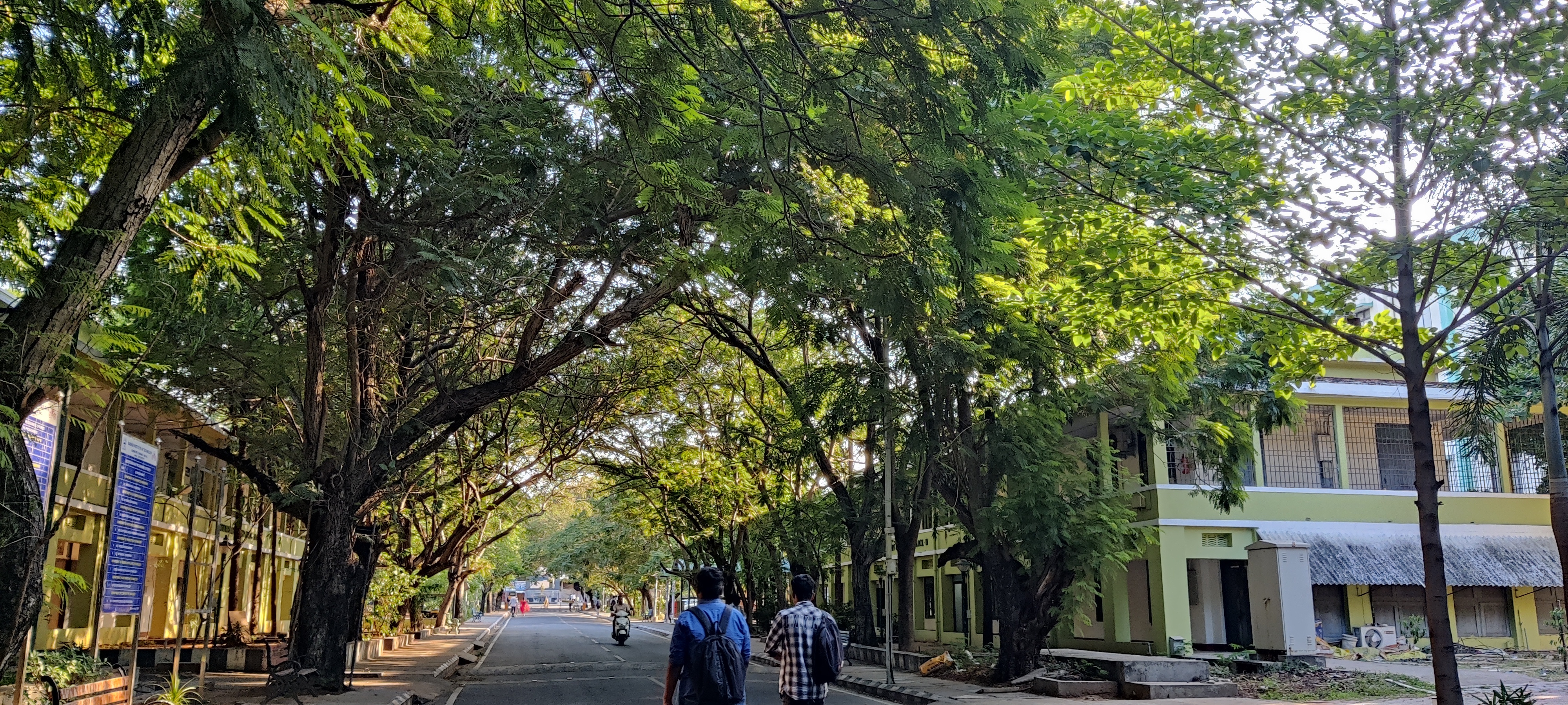 Madras Institute of Technology - campus