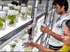 Moolji Jaitha College - event