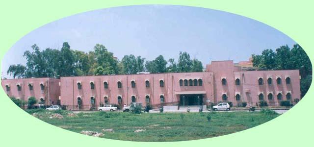 National Institute of Ayurveda - others