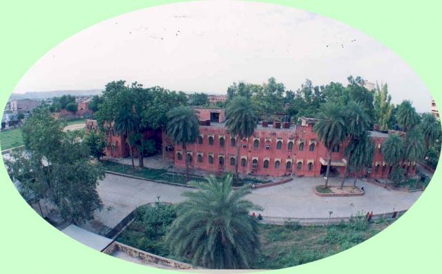 National Institute of Ayurveda - others