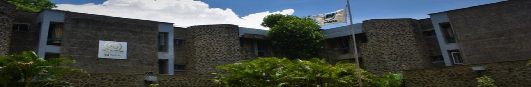 National Institute of Bank Management - others