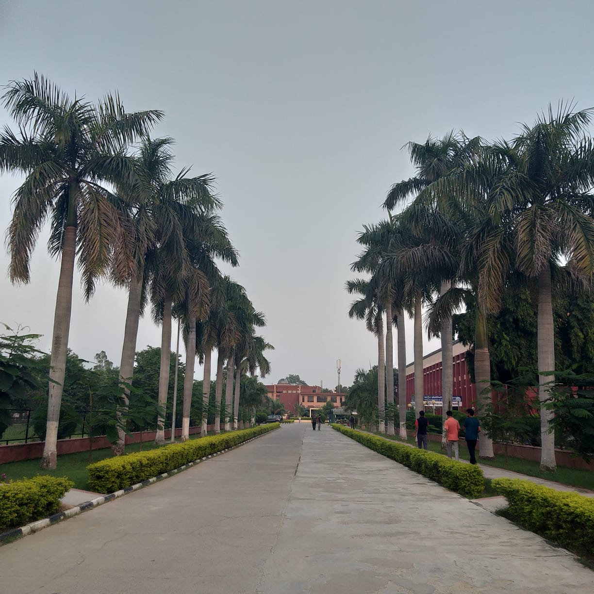 NIT Kurukshetra (NIT KKR) - campus