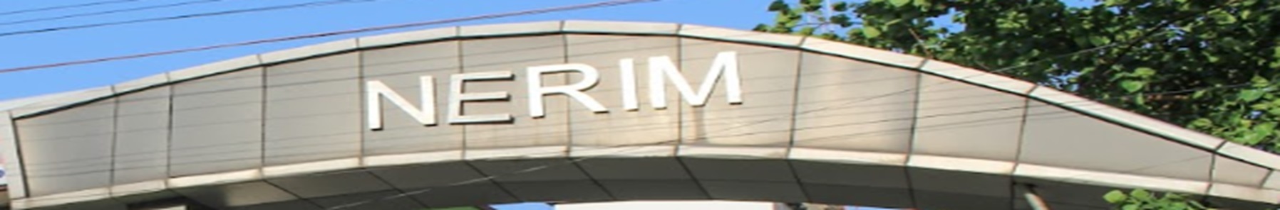 Nerim Institute Guwahati - campus