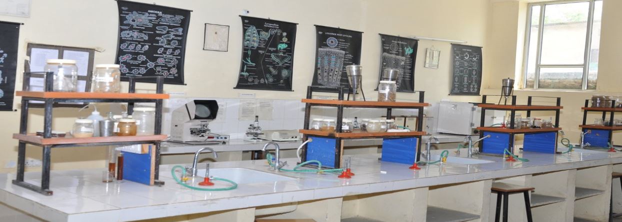 Rajasthan Pharmacy College - labs