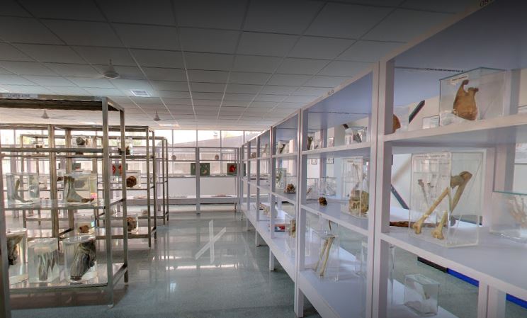 SJB Institute of Technology - labs