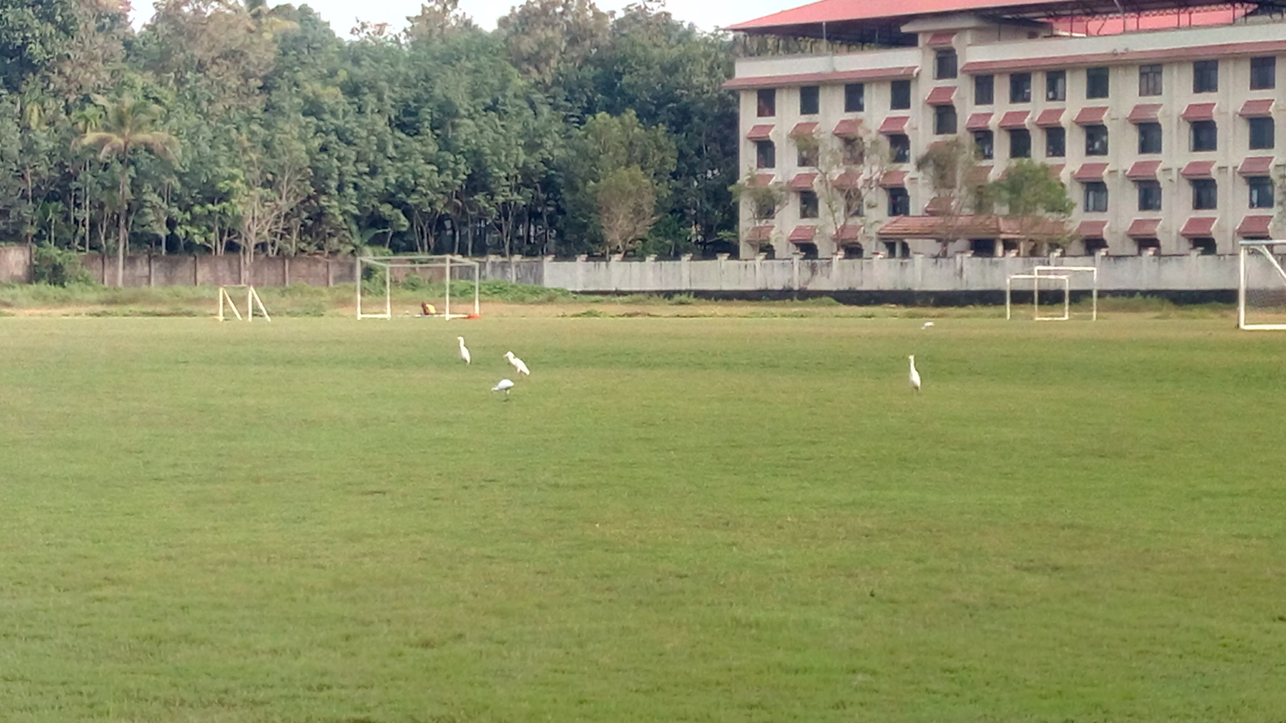 FISAT College - playground