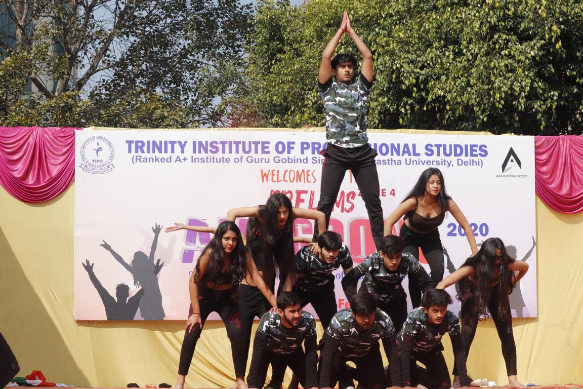 Trinity Institute of Professional Studies - others