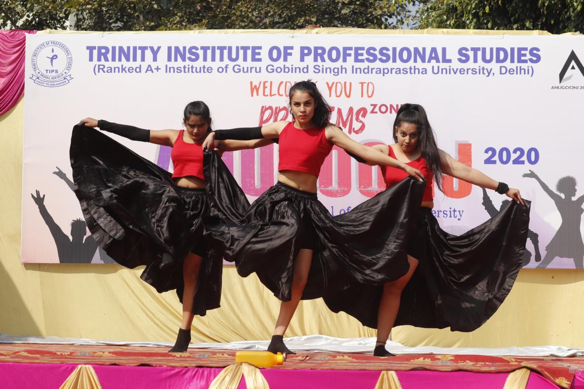 Trinity Institute of Professional Studies - others