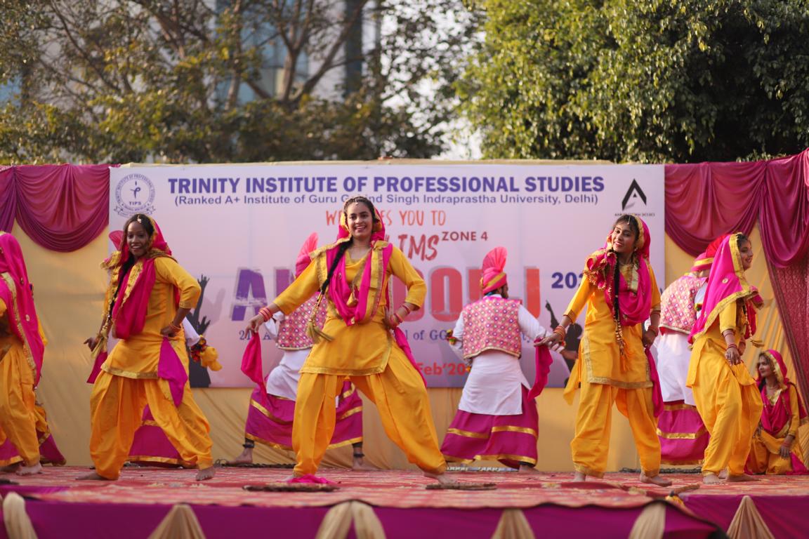 Trinity Institute of Professional Studies - others