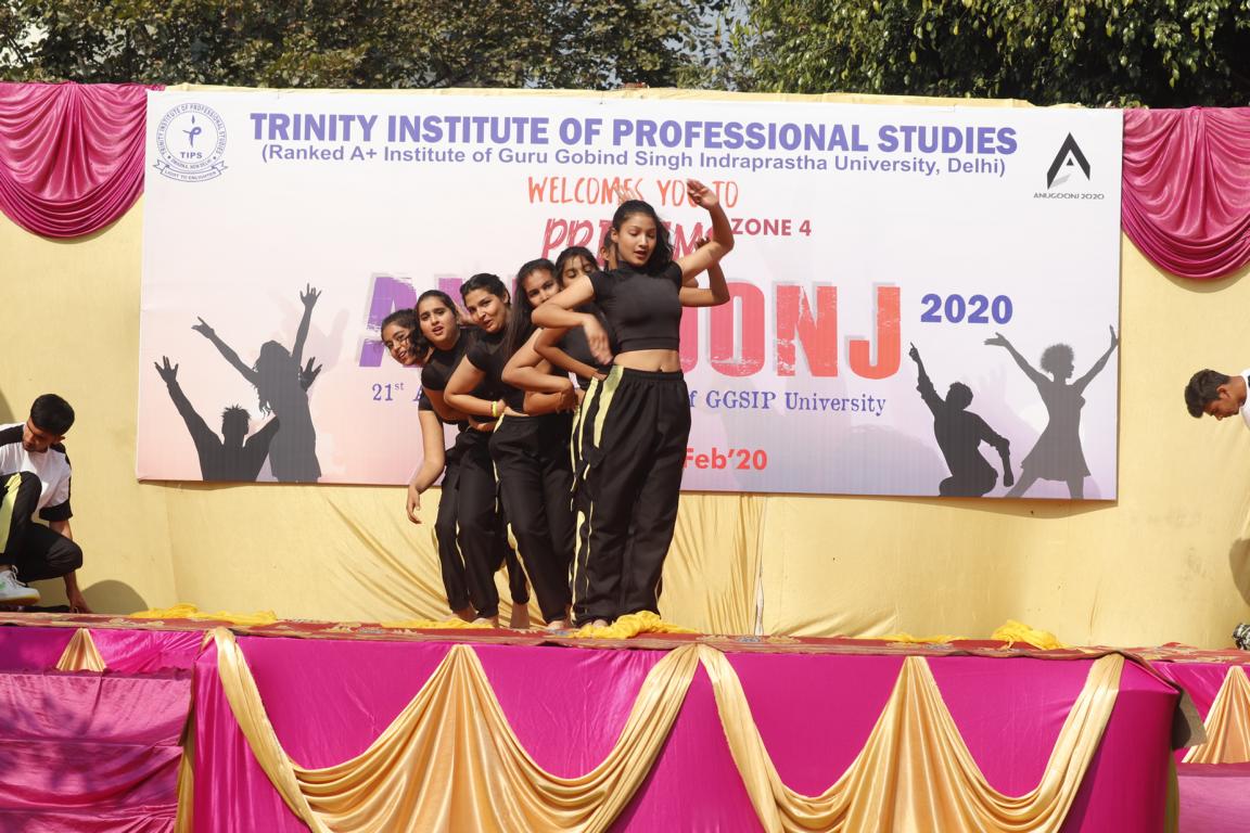Trinity Institute of Professional Studies - others