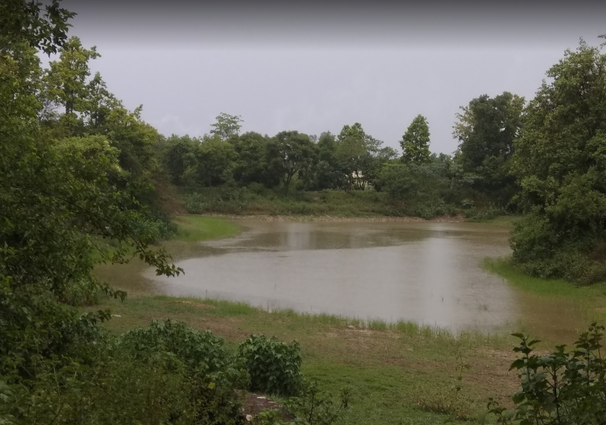 Wildlife Institute of India - campus
