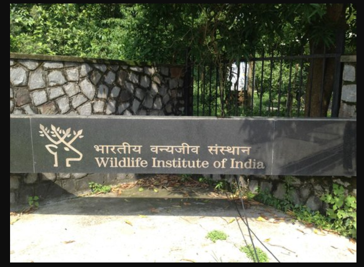 Wildlife Institute of India - entrance