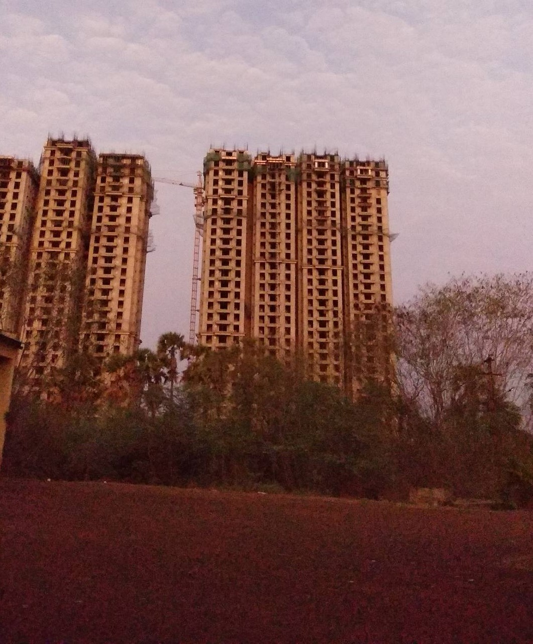 Acharya Nagarjuna University - campus