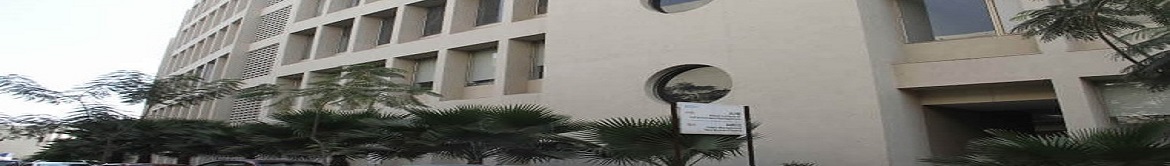 Adani University - campus