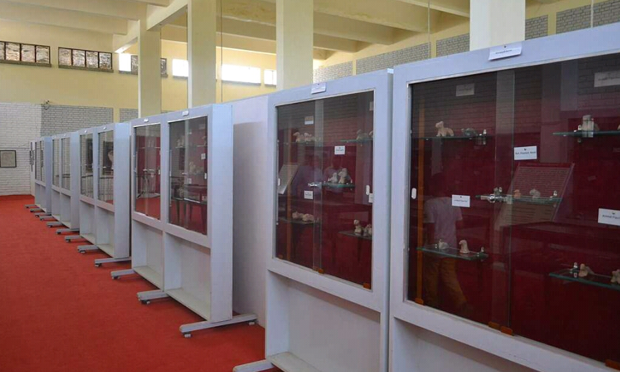 Aligarh Muslim University (AMU) - others