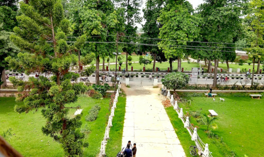 Aligarh Muslim University (AMU) - campus