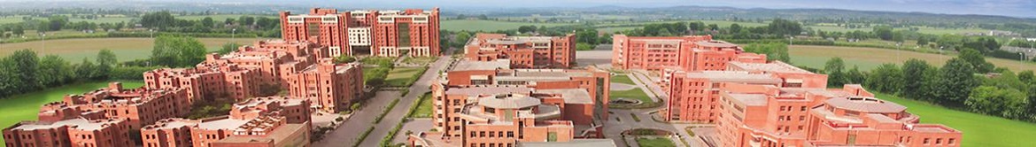 Amity University Noida - others