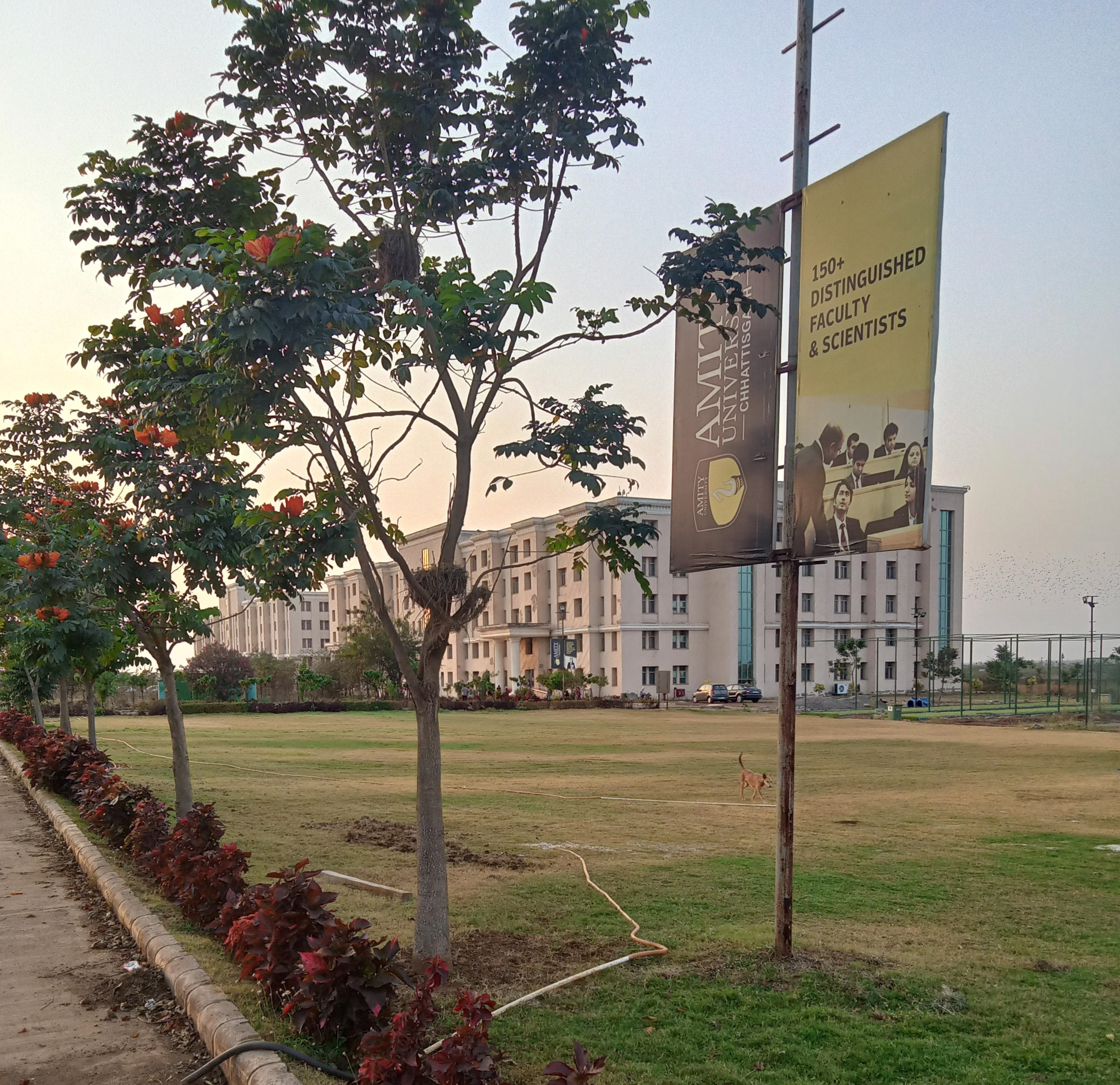 Amity University Raipur - campus