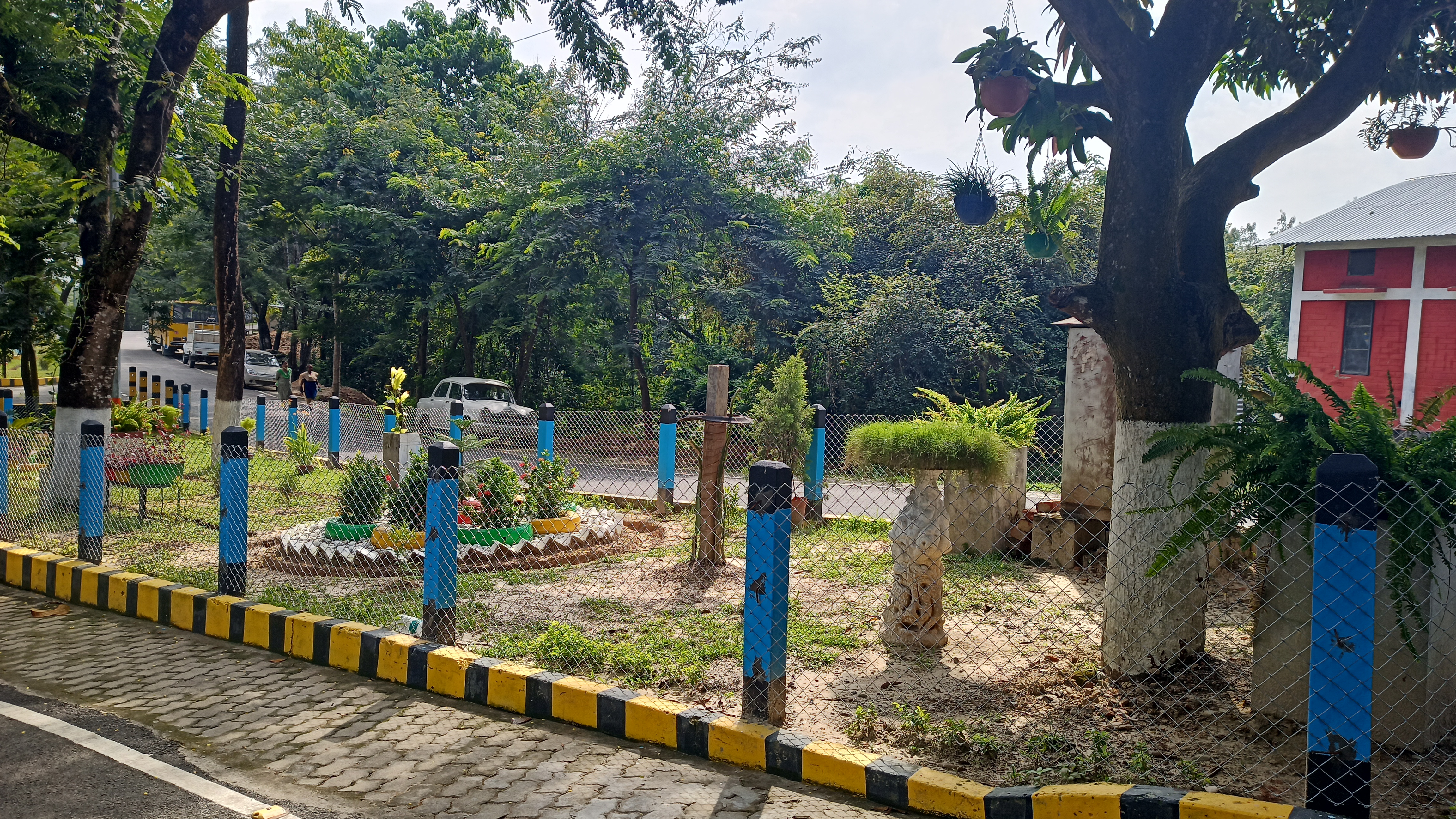 Assam University - campus