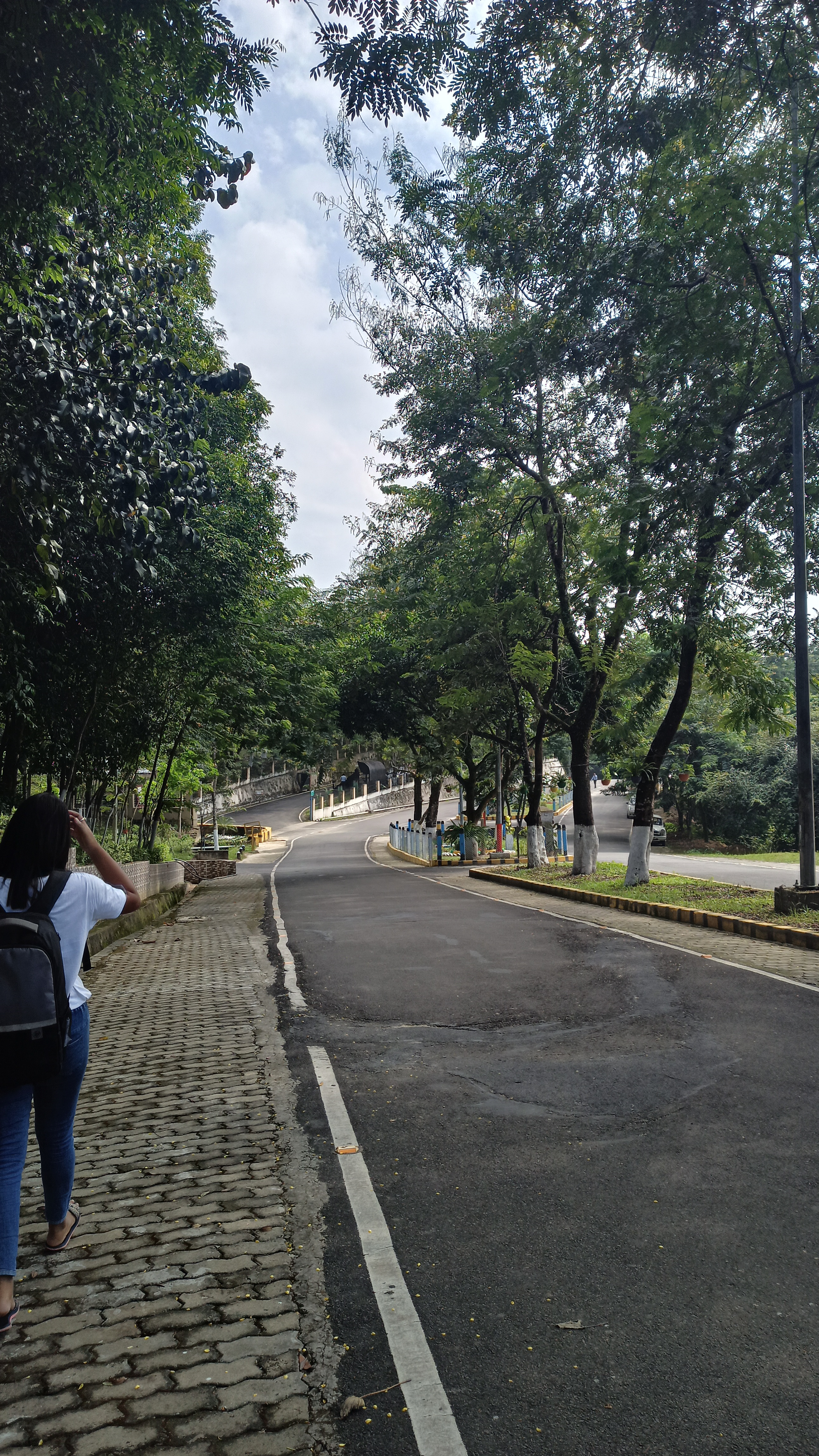 Assam University - campus
