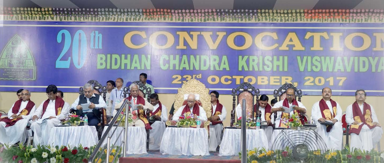 BCKV - Bidhan Chandra Krishi Viswavidyalaya - convocation