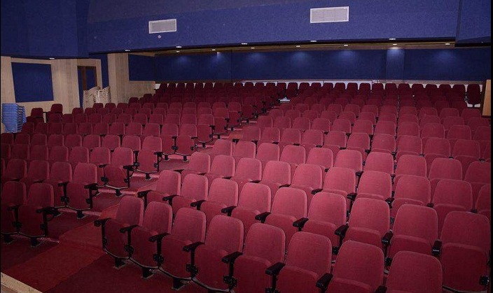 Bharati Vidyapeeth - auditorium