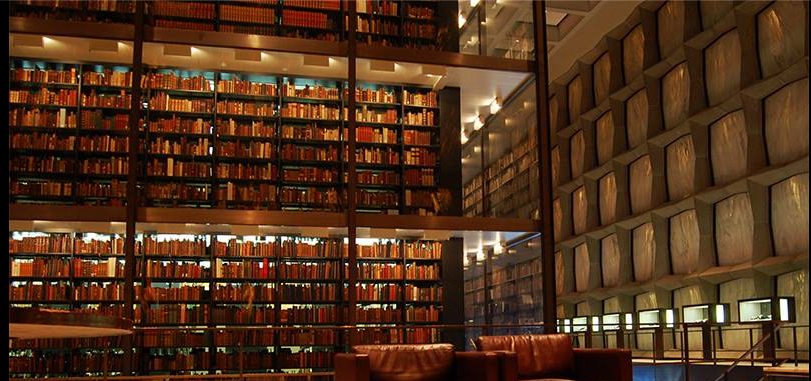 Bharati Vidyapeeth - library